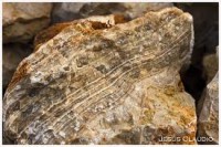 /album/rocas-calizas/images-3-jpg4/